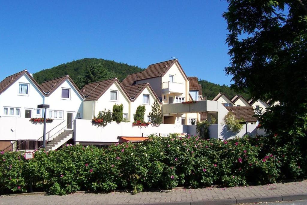 Seglerfewo Mit Traumhaftem Blick Vom Balkon Scheid  Eksteriør billede